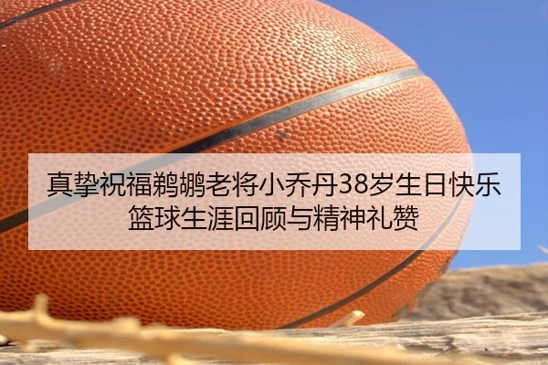 真挚祝福鹈鹕老将小乔丹38岁生日快乐篮球生涯回顾与精神礼赞